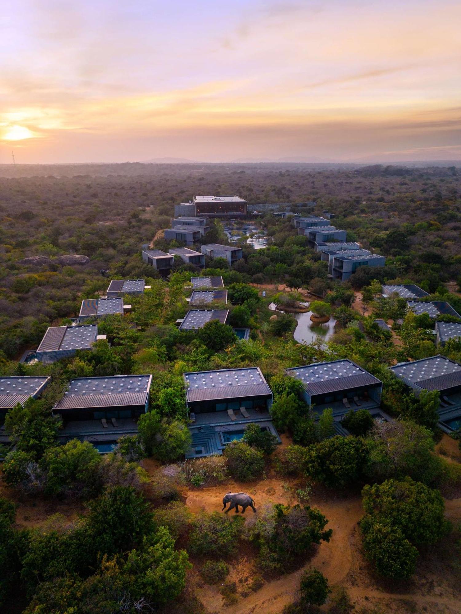 Hilton Yala Resort Exteriör bild